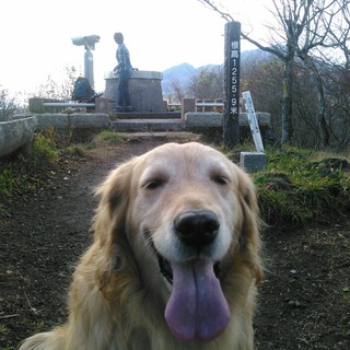 d2164ef7-59d4-48c0-980d-eb8dec440e9e